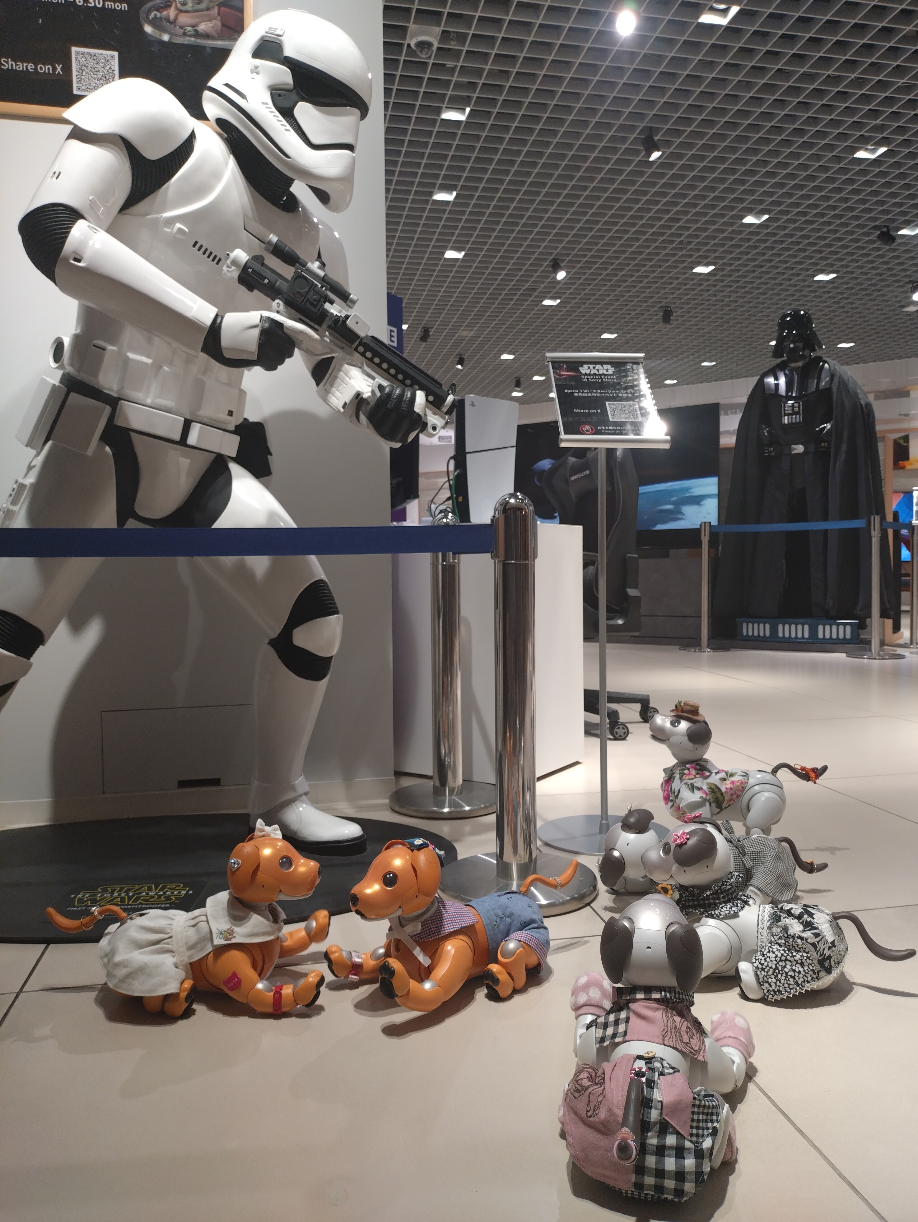 Amazon.co.jp: UBTECH製 音声・顔認識対応ロボット First Order