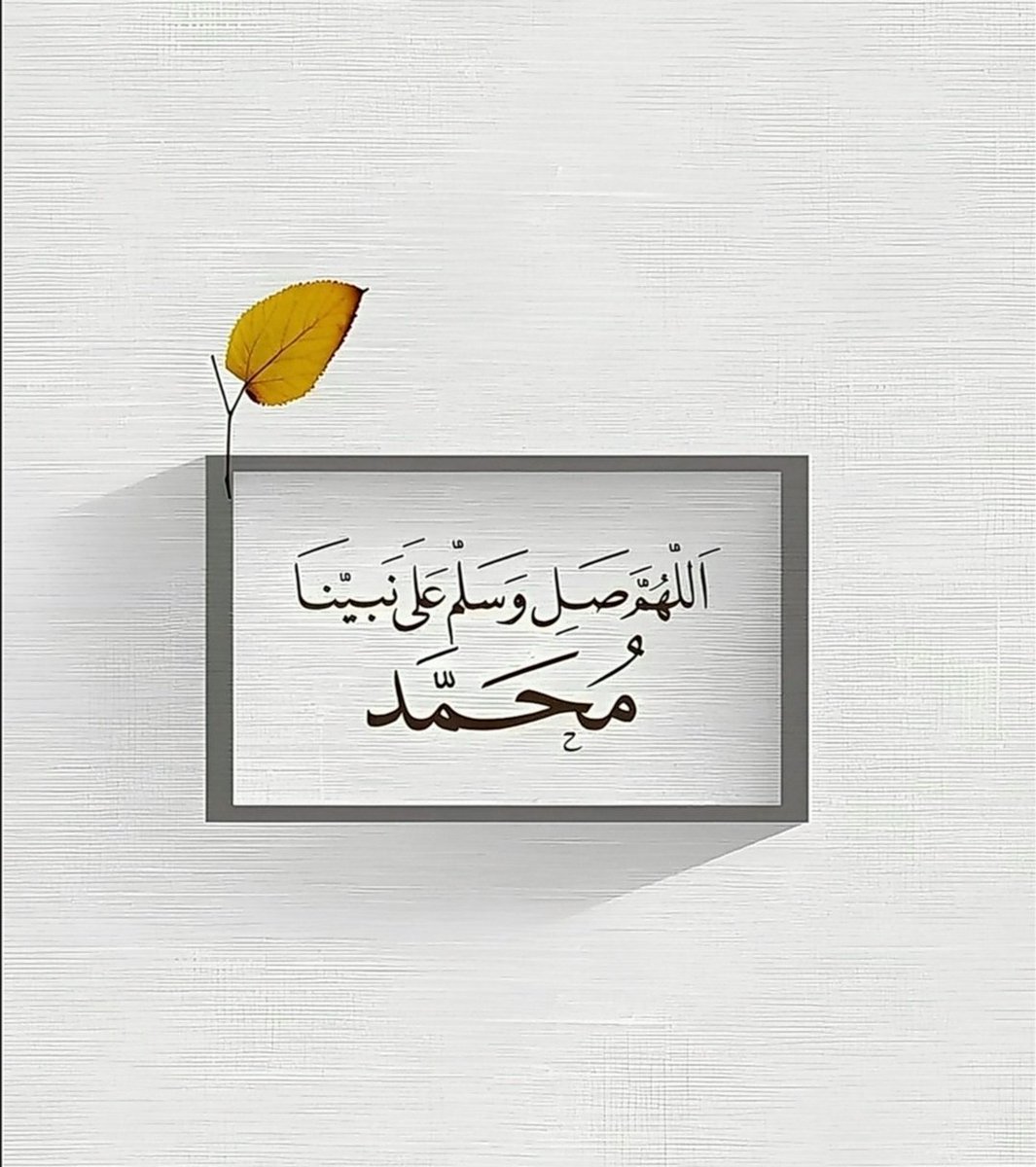 I_Athr0's tweet photo. وفي الجمعة الأولى من هذا العام

اللهمَّ إني أحسنتُ بكَ الظَّن فاجبُرني ، ربي لا تدع لي أمراً إلا يسرته ولا حلماً إلا حققته ، ربي أنِر بصيرتي، وأرضني بقدري، وأحيني وأمتني مقبولًا مستوراً"
#يوم_الجمعه https://t.co/6ipRxJ6VmA