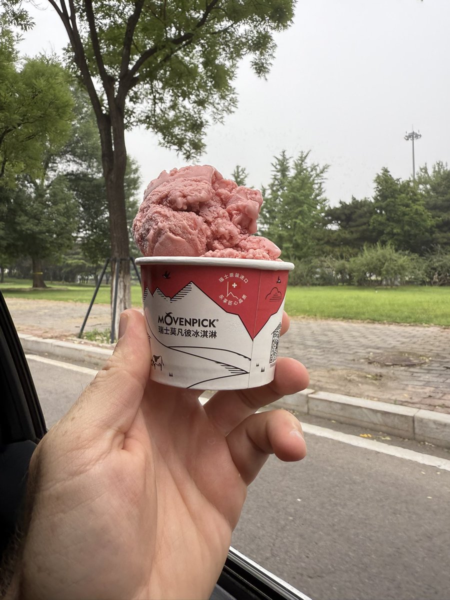 A berry sweet goodbye to a wonderful country filled with warm people

The possibilities for China are
˖⁺‧₊˚✦ Boundless ✦˚₊‧⁺˖

Bye bye for now 🍓🍨✌️