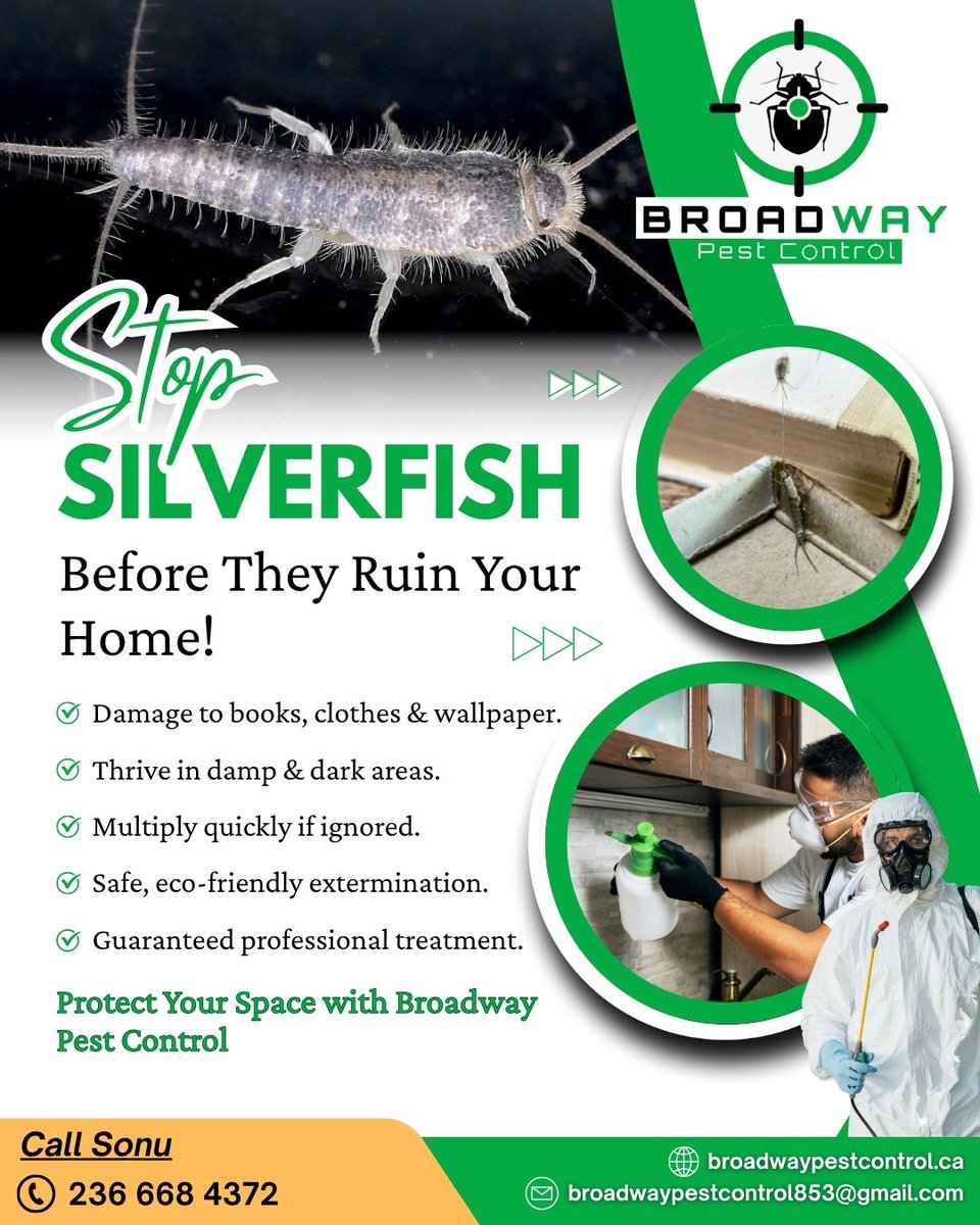 BroadPest93579's tweet image. Spotted tiny silver bugs in your bathroom or basement? 🐜 That’s a silverfish invasion waiting to grow!
Don’t let these pests destroy your papers, clothes, and peace of mind.

☎+1 236-668-4372
🌐 broadwaypestcontrol.ca

#SilverfishControl #PestFreeHome #BroadwayPestControl
