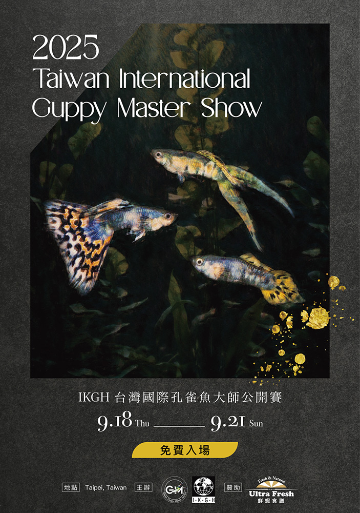 guppymproject's tweet photo. Welcome to participate or visit! If you want to know any details, please contact me!

#Guppy https://t.co/Yqel3eLYd0