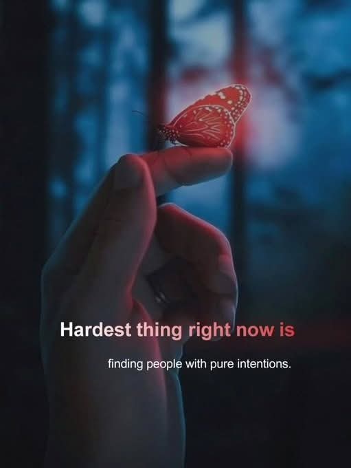 Hum ✨️🕊 (@humkibaatein) on Twitter photo 