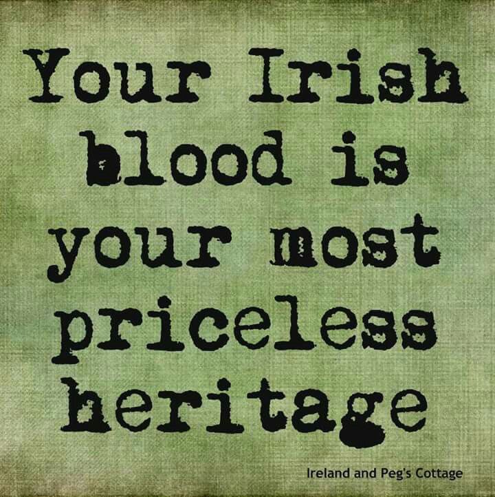 Irish Girl🌷 tweet media
