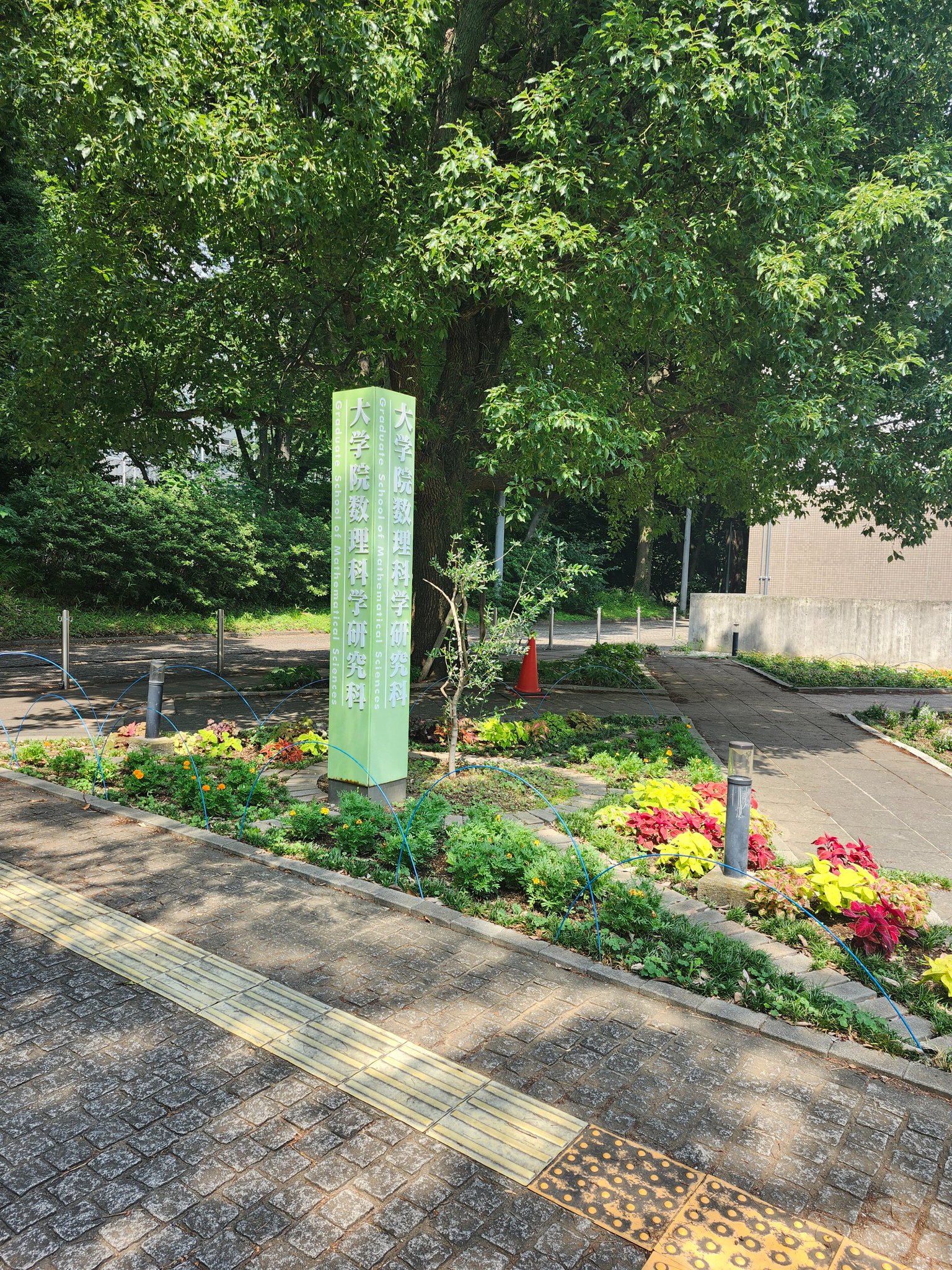 知恵の館文庫 東北大学 数理哲人講義録 東北大への数学 第拾壱巻・的中編 テキスト 状態良い 2012 005s1D 楽天市場】 知恵の舘文庫 > 書籍セット販売 : プリパス WEB-SHOP