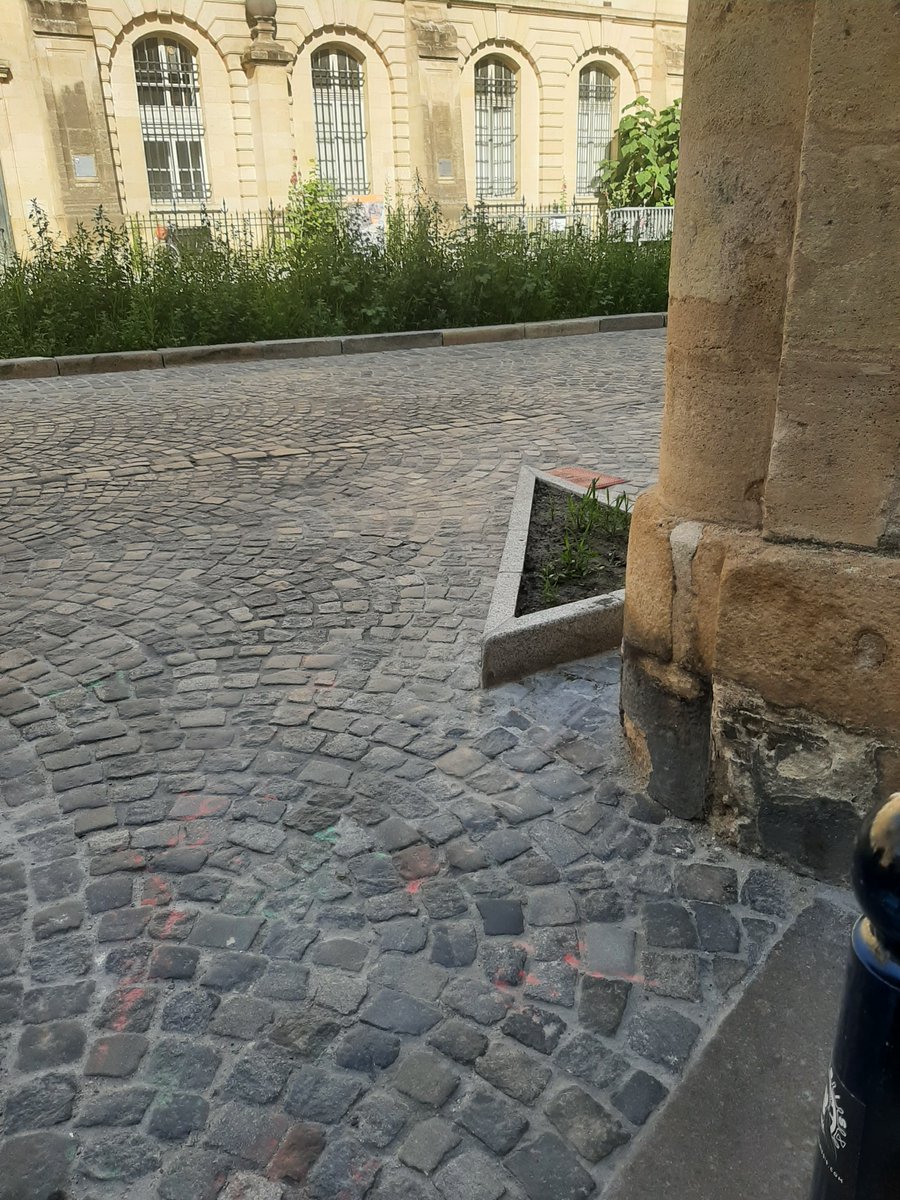 nel_katia's tweet photo. #CoursduChapeauRouge ça date de l'ancienne mairie.
#PlaceDuChapelet ça date de l'actuelle et ça donne ça :
C'est moche et dangereux.
#Bordeaux #Patrimoine #Tourisme #TriangledOr https://t.co/N7FtVj9rUx