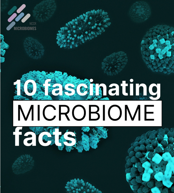 NCCRMicrobiomes's tweet image. Happy #WorldMicrobiomeDay to all who celebrate! (And really, who shouldn’t? Microbiomes shape life on Earth.🌍🦠)
Explore 10 remarkable facts about the microbial world
👉 linkedin.com/feed/update/ur…
#Microbiome #ScienceCommunication #MicrobesMatter