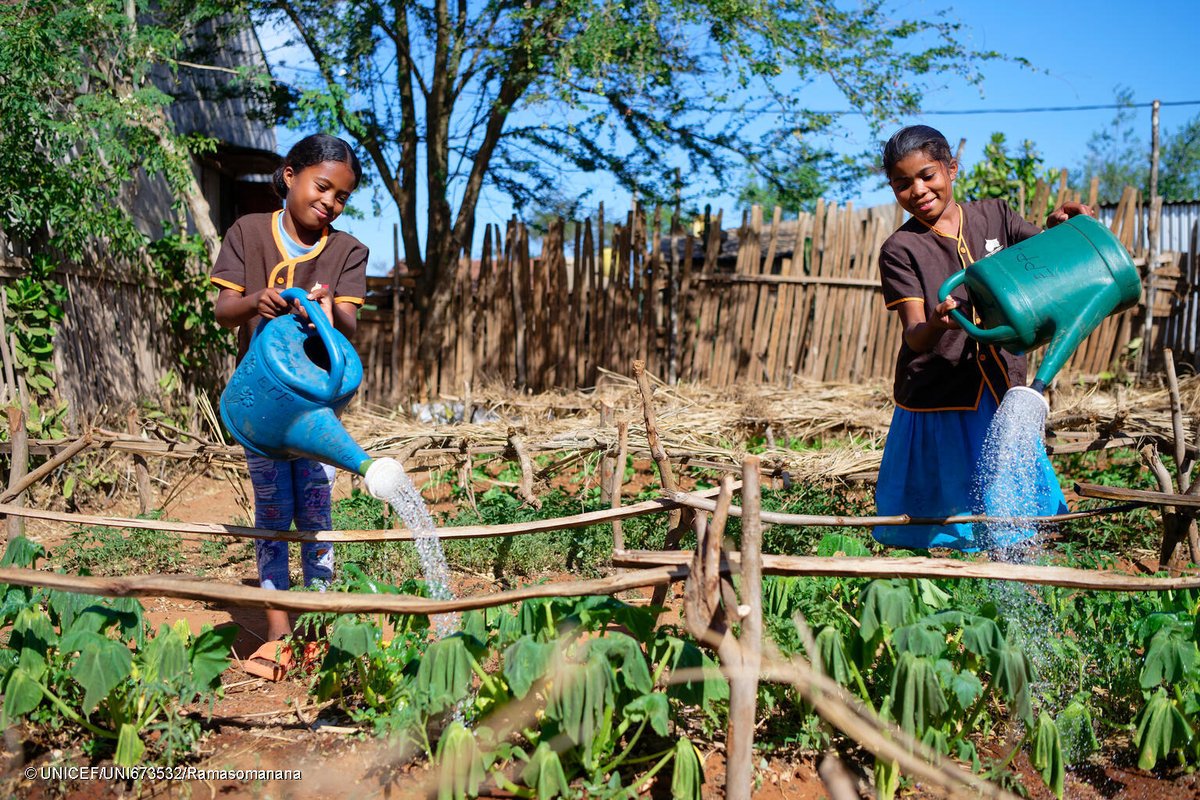UNICEF Madagascar (@unicefmada) on Twitter photo 🥦 Last week, we discussed micronutrient deficiencies impacting many families. Today, let’s focus on simple local solutions!
🌱 Biofortified crops (OFSP, CAL 98 beans)
🥕 Home vegetable gardens
🐔 Small-scale livestock farming
Small steps, big impact on kids’ health!
#ENCM 🥦 Last week, we discussed micronutrient deficiencies impacting many families. Today, let’s focus on simple local solutions!
🌱 Biofortified crops (OFSP, CAL 98 beans)
🥕 Home vegetable gardens
🐔 Small-scale livestock farming
Small steps, big impact on kids’ health!
#ENCM