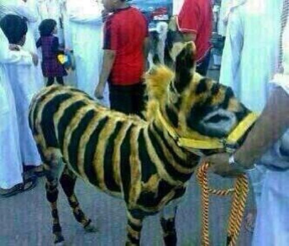 معلومة عزيزي الرياضي : 

- نادي #النصر 
بتاريخه كله مسجل ٥ اهداف فقط بكأس العالم للاندية

- #الاتحاد 
بتاريخه كله مسجل ٥ اهداف بس نفس البطولة!

#سالم_الدوسري 
لحاله مسجل ٥ اهداف ومساهم بـ٧ بكاس العالم للأنديه🐐💙💙👑🤍💪
•

#كأس_العالم_للأندية_2025 
#الهلال 
#كريستيانو_رونالدو