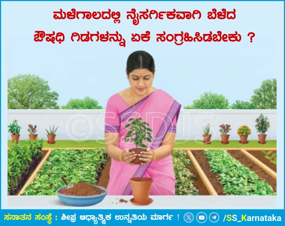 🌧️🌧️ ಮಳೆಗಾಲದಲ್ಲಿ ನೈಸರ್ಗಿಕವಾಗಿ ಬೆಳೆದ ಔಷಧಿ ಗಿಡಗಳನ್ನು ಏಕೆ ಸಂಗ್ರಹಿಸಿಡಬೇಕು ?

ಮುಂಬರುವ ಭೀಕರ ಮಹಾಯುದ್ಧದ ಕಾಲದಲ್ಲಿ ಡಾಕ್ಟರರು, ವೈದ್ಯರು, ಔಷಧಿ ಇತ್ಯಾದಿಗಳು ಲಭ್ಯವಾಗುವುದಿಲ್ಲ. ಇಂತಹ ಸಮಯದಲ್ಲಿ ನಮಗೆ ಆಯುರ್ವೇದವೇ ಆಧಾರವಾಗಿರುವುದು. 

ವಿವರವಾಗಿ ಓದಿರಿ👇
sanatan.org/kannada/92486.…

#ಧರ್ಮಶಿಕ್ಷಣ
#ಹಿಂದೂರಾಷ್ಟ್ರ