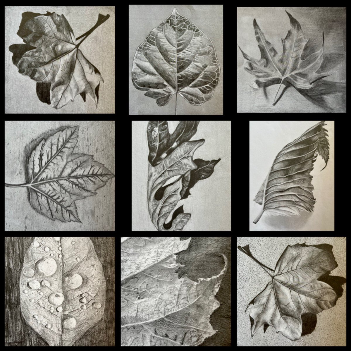 Some fabulous leaf drawings from our Y10 students. Sometimes simple is best. Pencil, paper, subject.