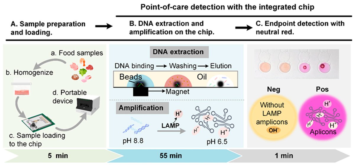 Biosensors_MDPI's tweet photo. 📣 Call for Reading:

#Article
An All-in-One Platform for On-Site Multiplex Foodborne Pathogen Detection Based on Channel-Digital Hybrid Microfluidics

by Mei Xie, et al.

https://t.co/ygsmKc3AQ4

#ChannelDigital #microfluidics #foodborne #visually
#biosensors #openaccess #mdpi https://t.co/eRz0FE1yVJ