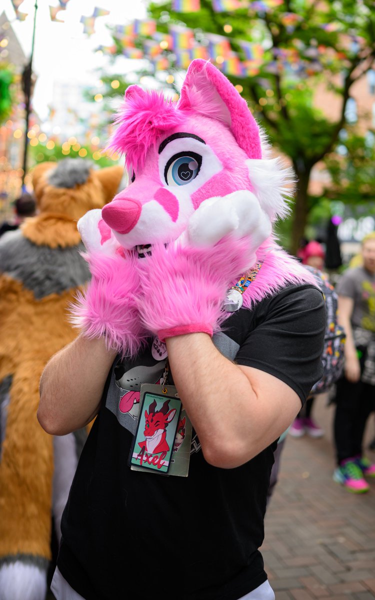 Good morning, and happy #FursuitFriday!! It’s been a long week but the weekend is almost here! I hope it’s fantastic and full of degeneracy for all of you 🩷

📸: <a href="/PupKip_/">Pup Kip</a>