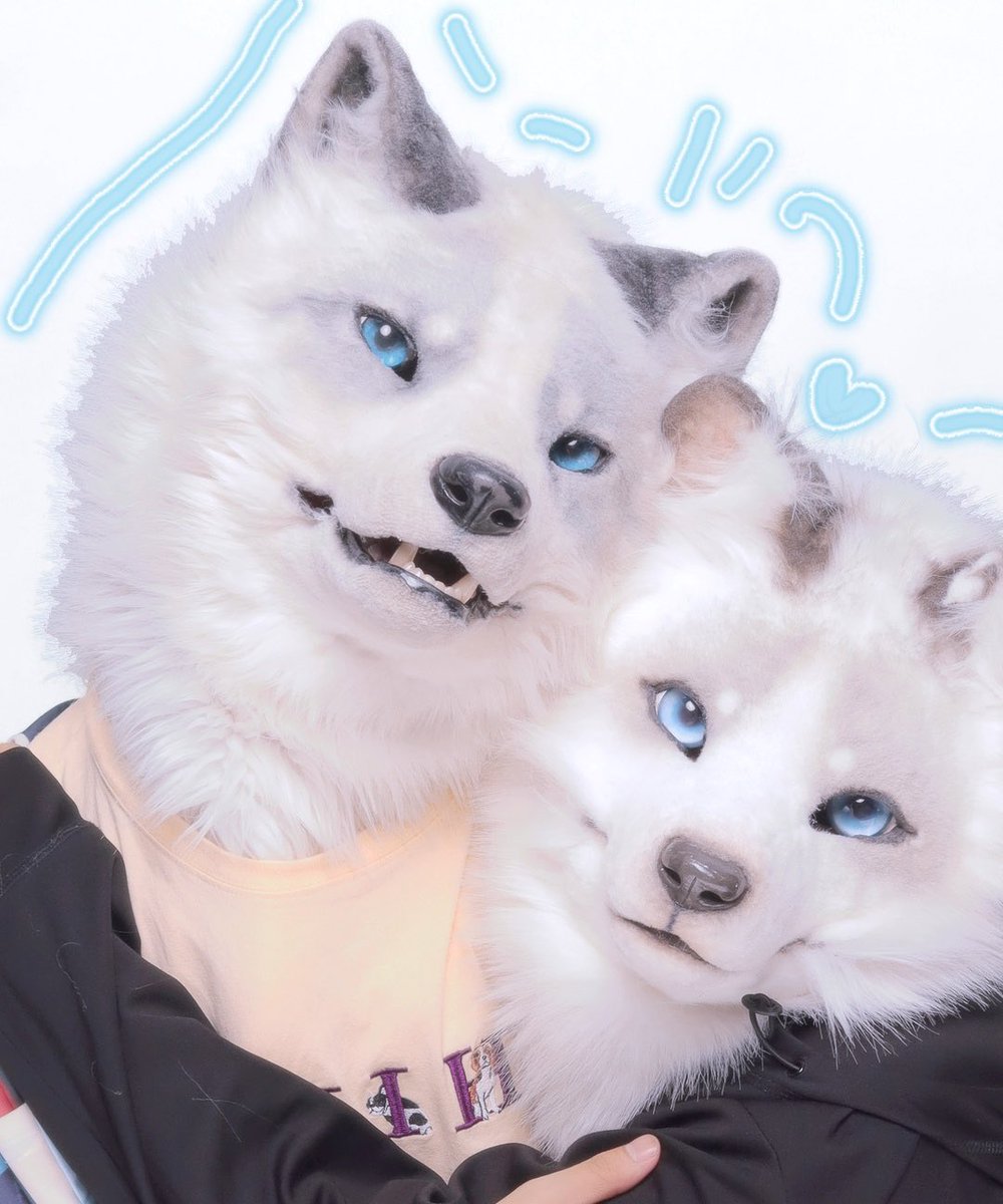ChocNutsFox's tweet image. お兄ちゃんとプリクラ！
#TDCコスフェス #fursuitfriday
#ぱやぱやチョコ🍫#落花生ぱやぱや🥜
