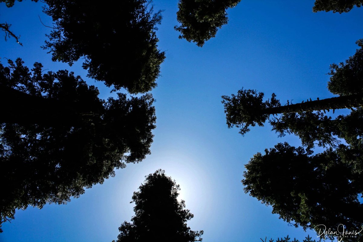 Shoot from the Trip tweet media