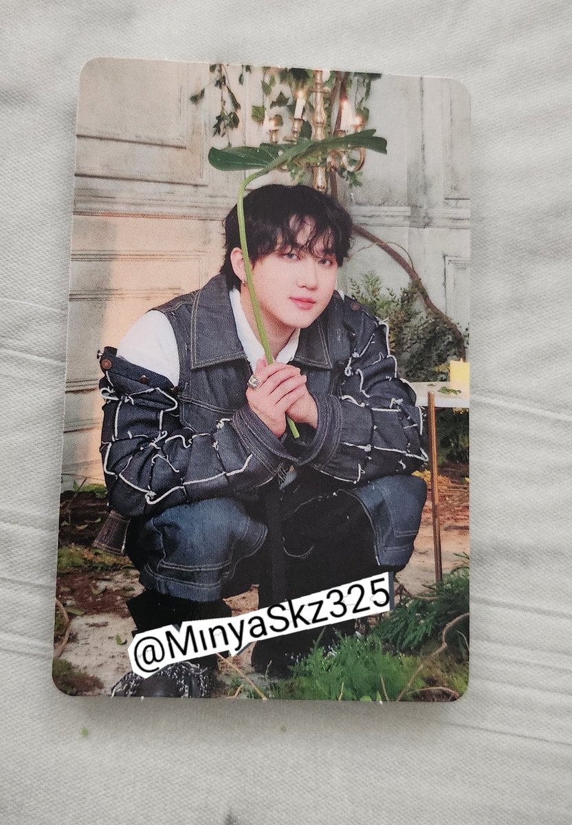 MinyaSkz325's tweet photo. Stray Kids スキズ 交換 Hollow トレカA(CD＋BD)盤

【譲】スンミン🐶又は
             チャンビン🐷🐰のどちらかと
【求】リノ🐰同種

☆郵送📮又は6/29ラフォーレ原宿・横浜手渡し可能
☆20歳以下❌

心当たりある方お声がけお待ちしてます🥹

 #トトロ風キッズ https://t.co/WXKDusVdSo