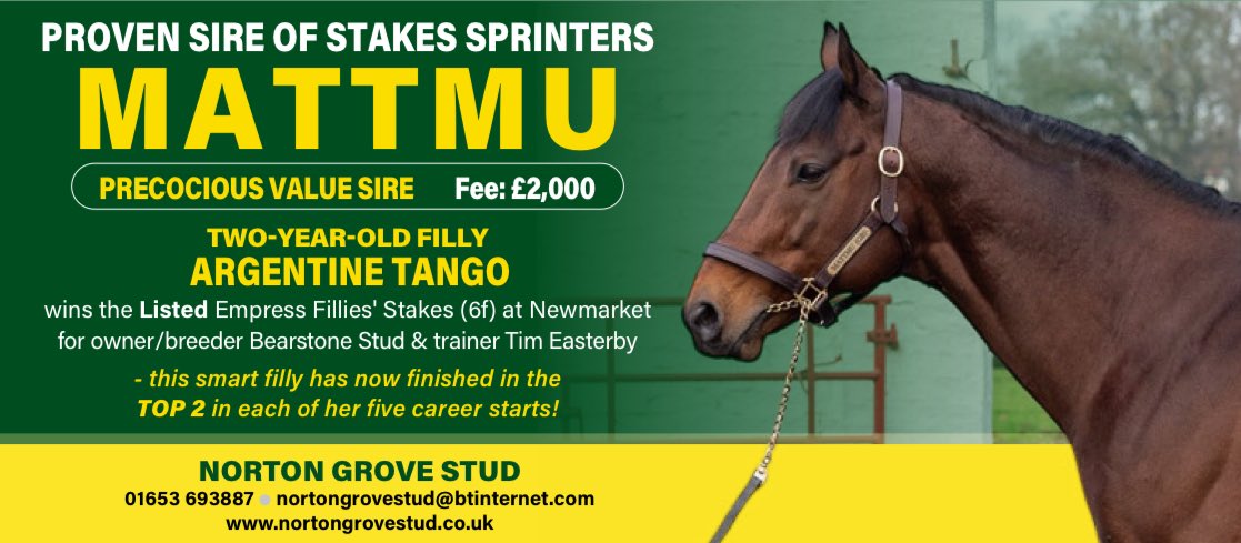 EBN (@bloodstocknews) on Twitter photo Smart two-year-old Listed winner for proven sire of stakes sprinters MATTMU <a href="/StudGrove/">Norton Grove Stud</a> 💥
The <a href="/EasterbyTim/">Tim Easterby Racing</a>-trained ARGENTINE TANGO (GB) wins the LR Empress Fillies’ Stakes <a href="/NewmarketRace/">Newmarket Racecourse</a> for owner/breeder <a href="/BearstoneStud/">Bearstone Stud</a> 🏆
This filly has now finished in the TOP 2 in each of Smart two-year-old Listed winner for proven sire of stakes sprinters MATTMU <a href="/StudGrove/">Norton Grove Stud</a> 💥
The <a href="/EasterbyTim/">Tim Easterby Racing</a>-trained ARGENTINE TANGO (GB) wins the LR Empress Fillies’ Stakes <a href="/NewmarketRace/">Newmarket Racecourse</a> for owner/breeder <a href="/BearstoneStud/">Bearstone Stud</a> 🏆
This filly has now finished in the TOP 2 in each of