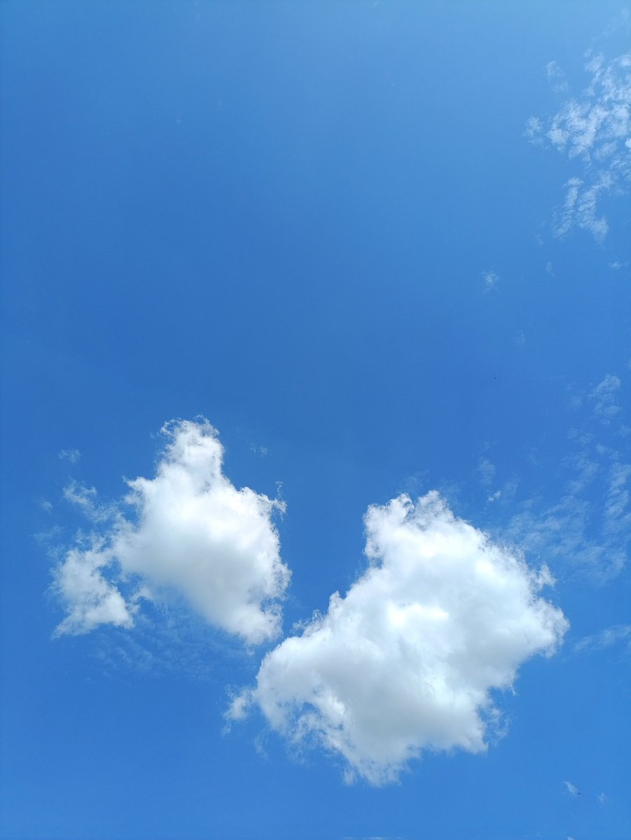 Cuaca hari ini cerah sekali...