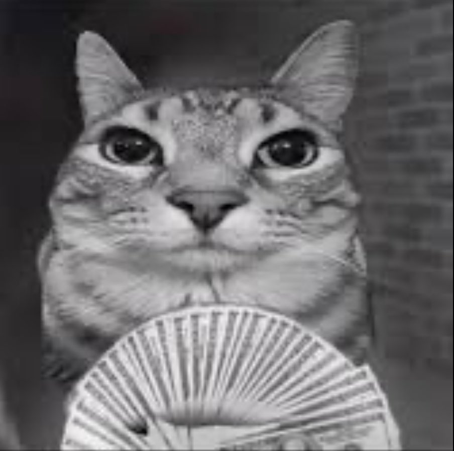 Not our fault yall fan bases got no motion