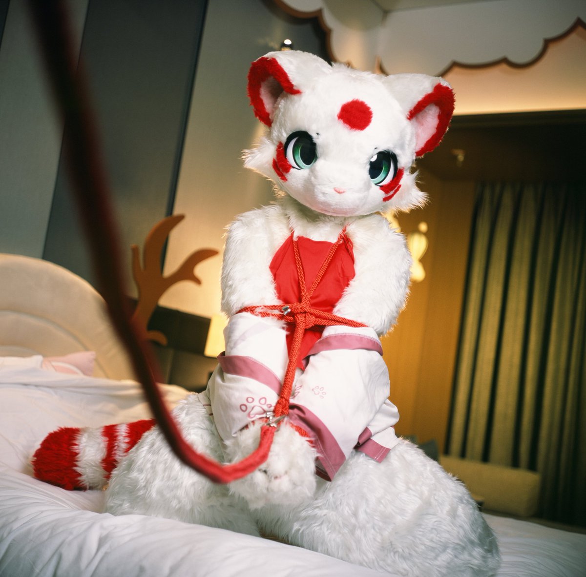 诶诶，不是拍床照嘛怎么就绑起来了呀🥺🥺

📷<a href="/kimballfurry/">purple sweet potato</a>