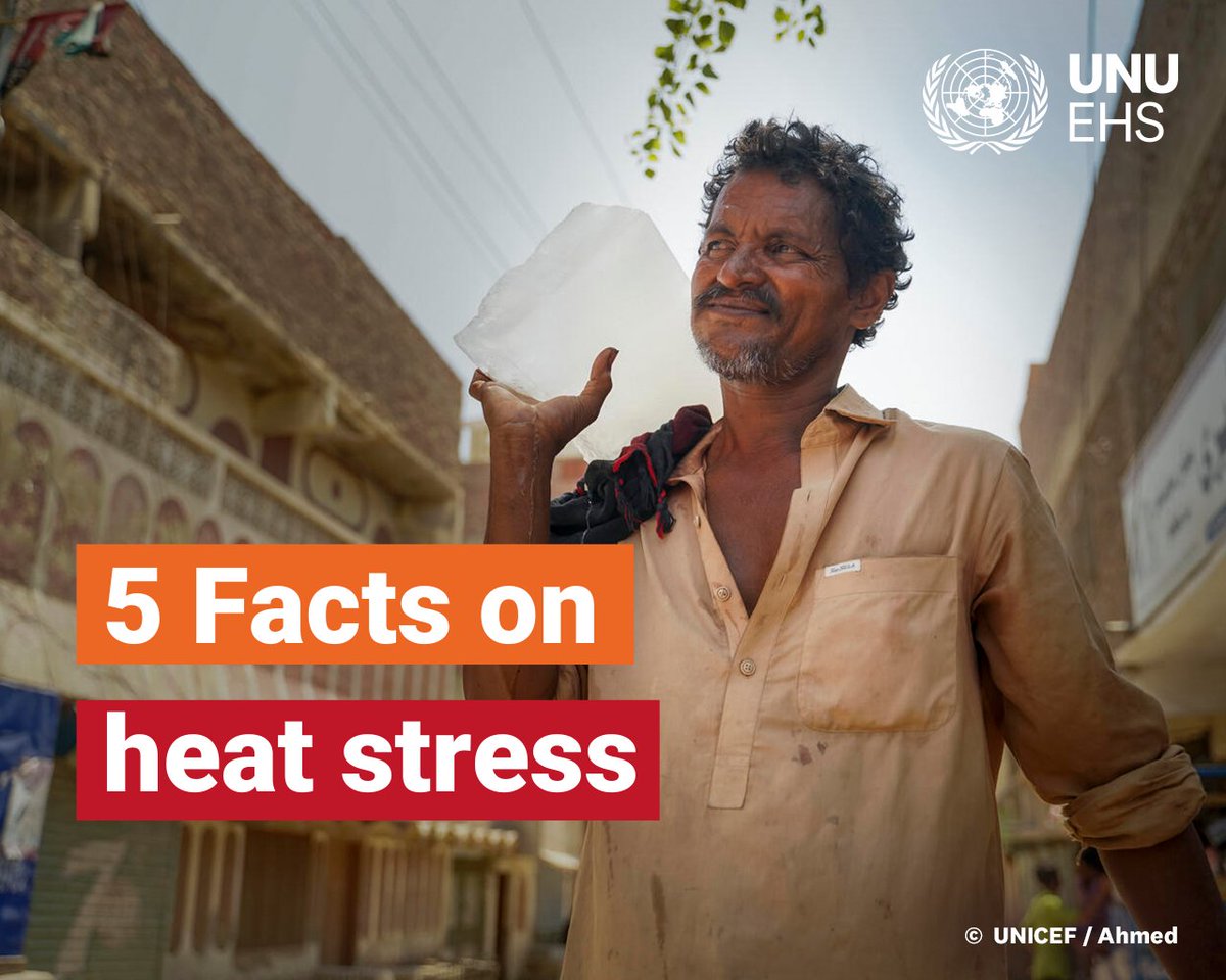 UNDRR (@undrr) on Twitter photo Heat stress has a dramatic cascading effect on everyday life. Labour productivity is halved at 34°C, & the equivalent of an estimated 80 million full-time jobs will be lost if we surpass 1.5°C of warming.
5️⃣ facts on heatwaves ow.ly/ubVY50WgWjA from <a href="/UNUEHS/">UN University - EHS</a> #BeatTheHeat Heat stress has a dramatic cascading effect on everyday life. Labour productivity is halved at 34°C, & the equivalent of an estimated 80 million full-time jobs will be lost if we surpass 1.5°C of warming.
5️⃣ facts on heatwaves ow.ly/ubVY50WgWjA from <a href="/UNUEHS/">UN University - EHS</a> #BeatTheHeat