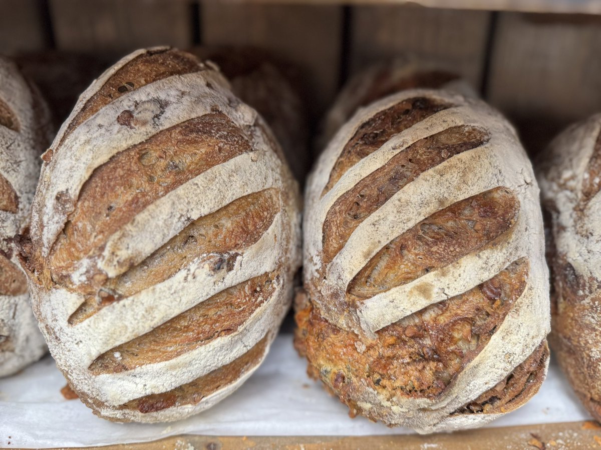 This weekends special is guinness, Stilton &amp; walnut sourdough! #guinness #stilton #walnut #cheese #realbread #bread #freshbread #bakery #harrogate #coldbathroad #shoplocal #homemade #shop #mannabakeryharrogate #yorkshire #food #sourdough