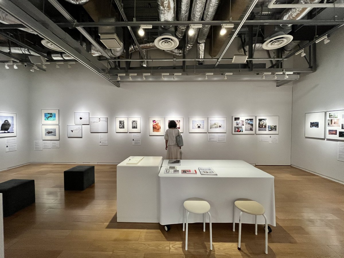 銀座のソニーイメージングギャラリーで、本日よりスタートした「わたしのともだち」に出品しています。
本日15時まで、<a href="/GOBIGUMA/">清水哲朗</a> 氏と<a href="/atyk12/">大島 淳之 / Atsuyuki Ohshima</a> 氏と一緒に在廊していました。
たくさんの話をうかがえました。楽しいひと時をありがとうございます。
次の在廊は7月2日の15:00から16:00です。