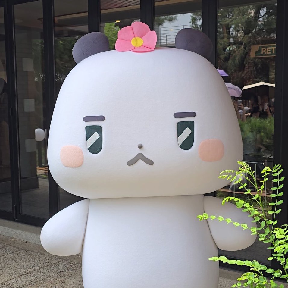 look at them 🥹 they are so precious 🫳 meowmi looks so proud with the flower on his head