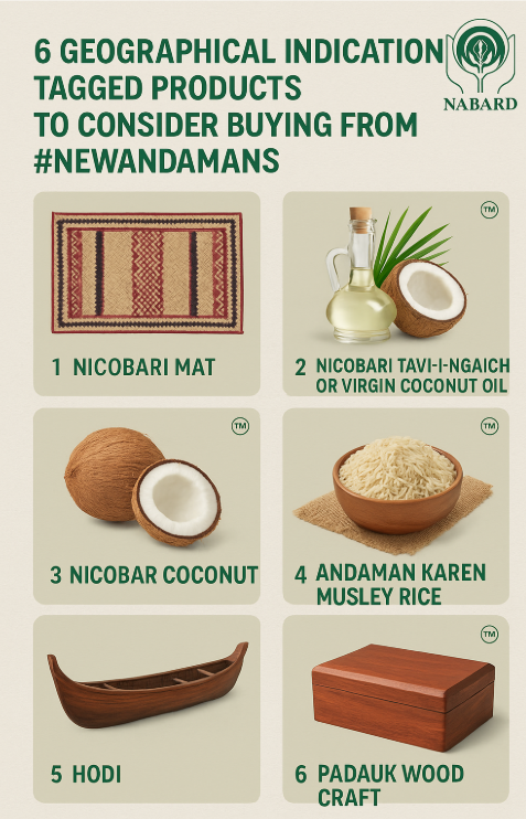 MediaRN_ANI's tweet photo. #IslandsDevelopmentAgency

Mark of respect to tribal community of #NewAndamans and their products, 07 indigenous and unique products of Islands have been provided with #GeographicalIdentification Tagging facility. 
Out of 7 products, 6 awarded #GeographicalIndication Tagged products to consider buying from #NewAndamans #NicobariMat #Nicobari Tavi-i-Ngaich or #VirginCoconutOil, #NicobarCoconut, #AndamanKarenMusleyRice, #Hodi and #PadaukWoodCraft.