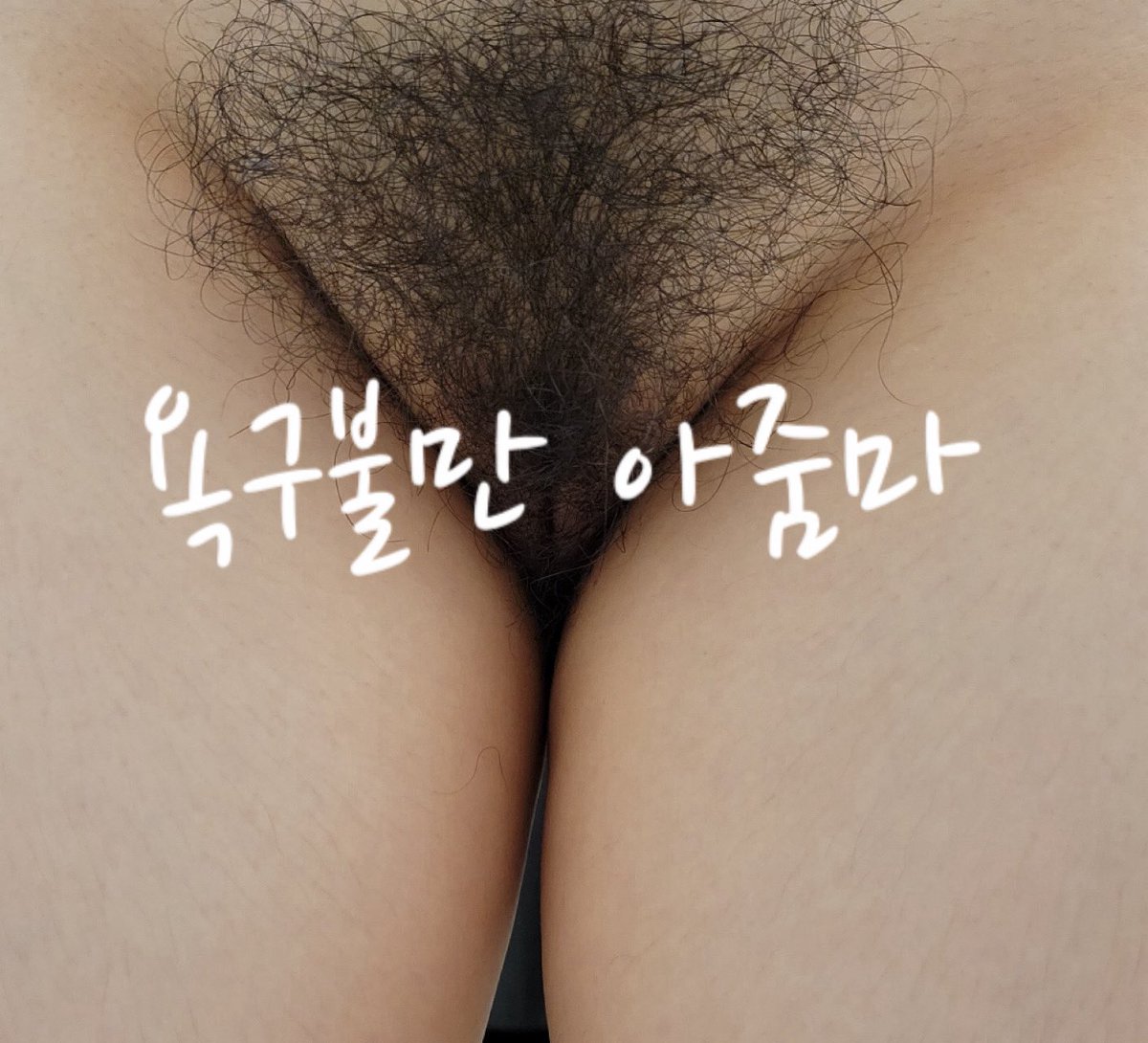 보지털을 다들 왜케 좋아하셔~~❤️