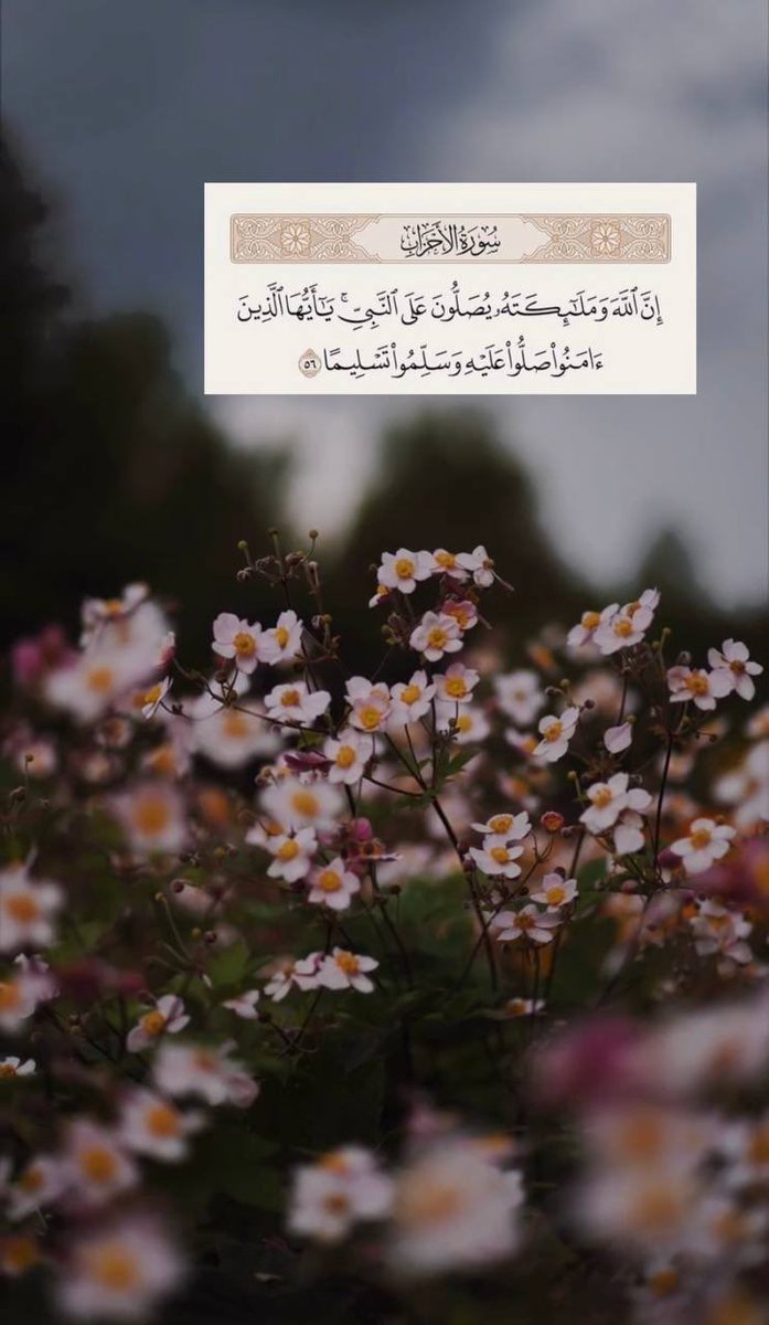 fata555sh's tweet photo. #جمعه_مباركه

الجمعة جنة الأيام ؛ أنيروا يومها بالكهف ..
 و باركوه بالصلاة على الرسول محمد ﷺ.. https://t.co/K97mFYvbIa