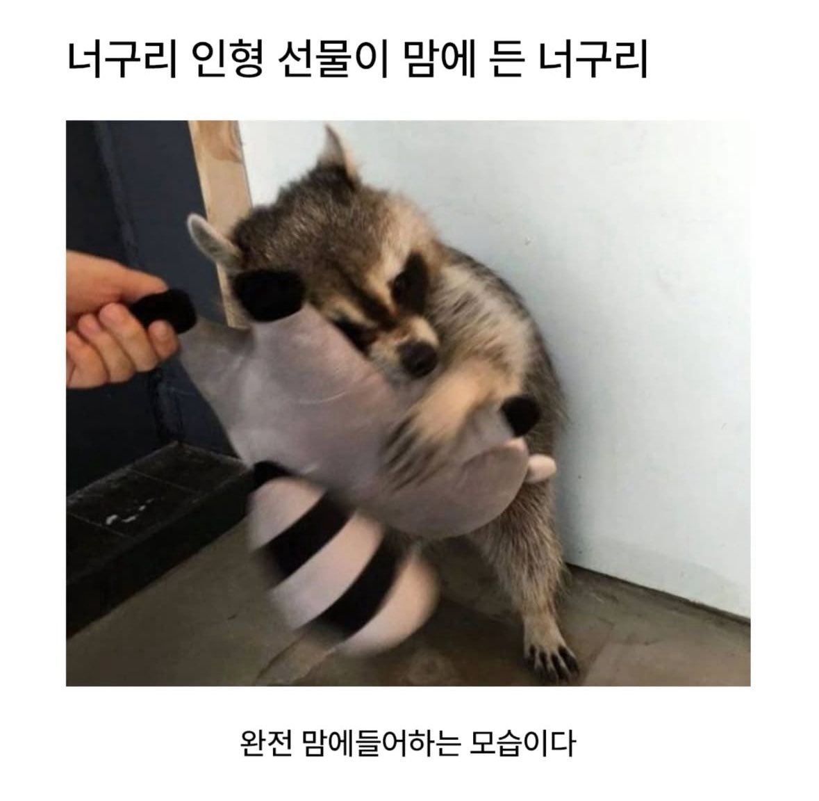 빵구리