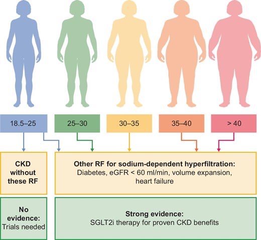 SGLT2 inhibitors in CKD: are they really effective in all patients?

SGLT2 inhibitors have revolutionized CKD treatment in diabetes, obesity and heart failure, their role in lean, non-diabetic patients remains unclear

academic.oup.com/ndt/advance-ar…