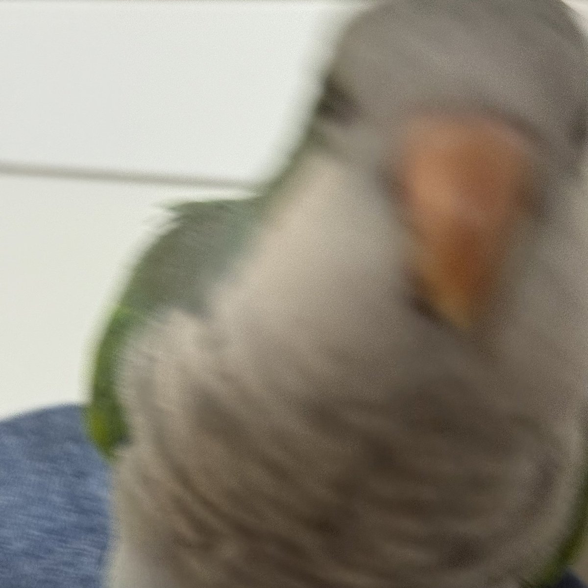 ormmormm's tweet photo. 🤍
#AbuChickenStory https://t.co/yQwlT39Hro