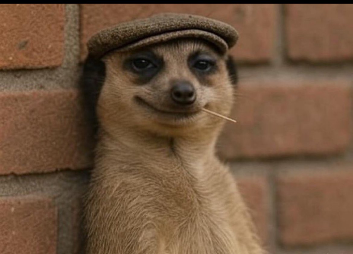 The next urgent brief watching you while you’re still recovering from the last one.