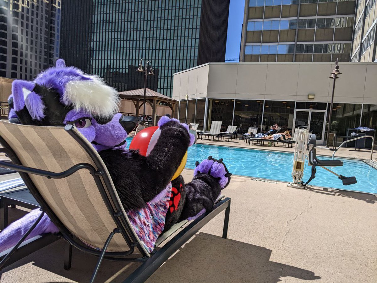 🌹Yume Shy Wolf🌹 tweet media