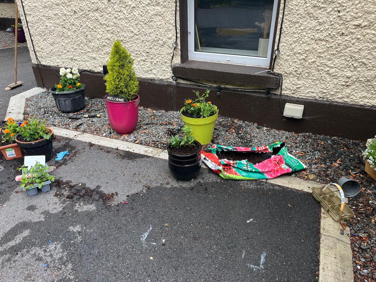 CoolmineTC's tweet photo. Coolmine would like to offer its most sincere gratitude to Woodie’s in Blanchardstown and Lidl in Clonee for their generosity in donating compost and flowers to Ashleigh House.
#Coolmine #Woodies #Lidl #CommunitySupport #AshleighHouse #RecoveryIsCommunity #ComingTogether https://t.co/X00LuDqXw7