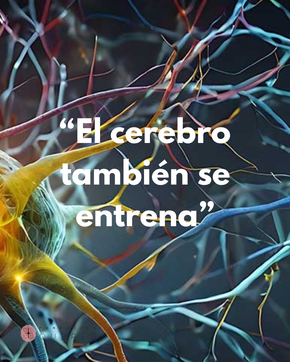 Debbie Gilmore y el programa que reta la educación tradicional:

El método Arrowsmith, basado en la neuroplasticidad, gana terreno en escuelas de todo el mundo. Su directora ejecutiva defiende un cambio de mirada urgente: dejar de etiquetar y empezar a transformar.

No te pierdas