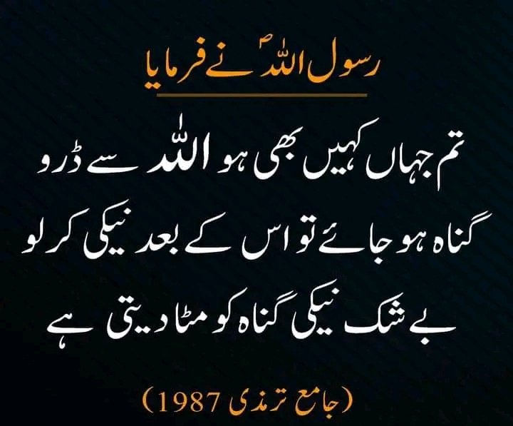 🦋ZêēñäT (@znt33) on Twitter photo #ملک_پرموشن
💯Follow
<a href="/01Mllik/">𝙈𝘼𝙇𝙄𝙆 𝙅𝙄💫💙</a> <a href="/1fazl2/">Imran khan</a>
<a href="/1arshd/">𝗔𝗿𝘀𝗵𝗱 𝗠𝗹𝗶𝗸💫👑</a> <a href="/sehr_ik/">سحر ملک 🦋🦋</a>
<a href="/01rshd/">ارشد ملک💫👑</a> <a href="/1Arshii/">𝓐𝓻𝓼𝓱𝓲 𝓜𝓵𝓲𝓴 ☪ツ</a>
<a href="/1Mahii_/">🦋ماہی ملک 🦋</a> <a href="/Znt33/">🦋ZêēñäT</a>
<a href="/1Sehar_/">𝐒ҽԋαʀ 👑</a>
<a href="/111mn1/">🐬آمنہ ملک🦋</a>
<a href="/0Sehrr/">سحر ملک 🕊️🦋</a>
<a href="/glmsjd/">𝑺𝒂𝒋𝒋𝒂𝒅 ✨</a>
<a href="/shz787/">🌟⭐️🌟🌟sʜᴀʜᴢᴀᴅ ᴍᴜɴɪʀ🌟⭐️🌟⭐️</a>
<a href="/1shobii/">Shoaib_Official</a>
<a href="/Snam5_/">🍁Sanam🍁</a>
<a href="/zhr879/">Emaan Zahra</a>
<a href="/10bshr/">Bashir Ahmed</a>
<a href="/bndy66/">Asil khawaja 55</a>
<a href="/Hurain_5/">Hurain 💞حورین</a>
<a href="/Haris_943/">Haris PTI ᵀᶠᴸᵂ</a>
<a href="/1fzalI/">💓PTI ACCOUNTS PROMORTER💓</a> <a href="/11iasd/">Ali Asad</a>
<a href="/guljnt/">گُل جنت🌷</a> <a href="/NM1k_/">༺ 💎𒆜𝑵𝑬𝑬𝑵𝑨𝑯𒆜💎 ༻</a>
<a href="/Fat9T/">Arshia🥀🍂</a> <a href="/_aina1/">AnuM🦩</a>
<a href="/Pir_80/">Peer Shb</a> <a href="/Ghz35/">🇬 🇭 🇦 🇿 🇦 🇱 🇦 🇭</a>
<a href="/Ghz39/">شازیہ</a> <a href="/NM1k_/">༺ 💎𒆜𝑵𝑬𝑬𝑵𝑨𝑯𒆜💎 ༻</a>
<a href="/Znt31/">🦋Zeenat🦋</a> <a href="/NK_pti/">𝒜𝓏𝒶𝒹 🇵🇰</a> #ملک_پرموشن
💯Follow
<a href="/01Mllik/">𝙈𝘼𝙇𝙄𝙆 𝙅𝙄💫💙</a> <a href="/1fazl2/">Imran khan</a>
<a href="/1arshd/">𝗔𝗿𝘀𝗵𝗱 𝗠𝗹𝗶𝗸💫👑</a> <a href="/sehr_ik/">سحر ملک 🦋🦋</a>
<a href="/01rshd/">ارشد ملک💫👑</a> <a href="/1Arshii/">𝓐𝓻𝓼𝓱𝓲 𝓜𝓵𝓲𝓴 ☪ツ</a>
<a href="/1Mahii_/">🦋ماہی ملک 🦋</a> <a href="/Znt33/">🦋ZêēñäT</a>
<a href="/1Sehar_/">𝐒ҽԋαʀ 👑</a>
<a href="/111mn1/">🐬آمنہ ملک🦋</a>
<a href="/0Sehrr/">سحر ملک 🕊️🦋</a>
<a href="/glmsjd/">𝑺𝒂𝒋𝒋𝒂𝒅 ✨</a>
<a href="/shz787/">🌟⭐️🌟🌟sʜᴀʜᴢᴀᴅ ᴍᴜɴɪʀ🌟⭐️🌟⭐️</a>
<a href="/1shobii/">Shoaib_Official</a>
<a href="/Snam5_/">🍁Sanam🍁</a>
<a href="/zhr879/">Emaan Zahra</a>
<a href="/10bshr/">Bashir Ahmed</a>
<a href="/bndy66/">Asil khawaja 55</a>
<a href="/Hurain_5/">Hurain 💞حورین</a>
<a href="/Haris_943/">Haris PTI ᵀᶠᴸᵂ</a>
<a href="/1fzalI/">💓PTI ACCOUNTS PROMORTER💓</a> <a href="/11iasd/">Ali Asad</a>
<a href="/guljnt/">گُل جنت🌷</a> <a href="/NM1k_/">༺ 💎𒆜𝑵𝑬𝑬𝑵𝑨𝑯𒆜💎 ༻</a>
<a href="/Fat9T/">Arshia🥀🍂</a> <a href="/_aina1/">AnuM🦩</a>
<a href="/Pir_80/">Peer Shb</a> <a href="/Ghz35/">🇬 🇭 🇦 🇿 🇦 🇱 🇦 🇭</a>
<a href="/Ghz39/">شازیہ</a> <a href="/NM1k_/">༺ 💎𒆜𝑵𝑬𝑬𝑵𝑨𝑯𒆜💎 ༻</a>
<a href="/Znt31/">🦋Zeenat🦋</a> <a href="/NK_pti/">𝒜𝓏𝒶𝒹 🇵🇰</a>