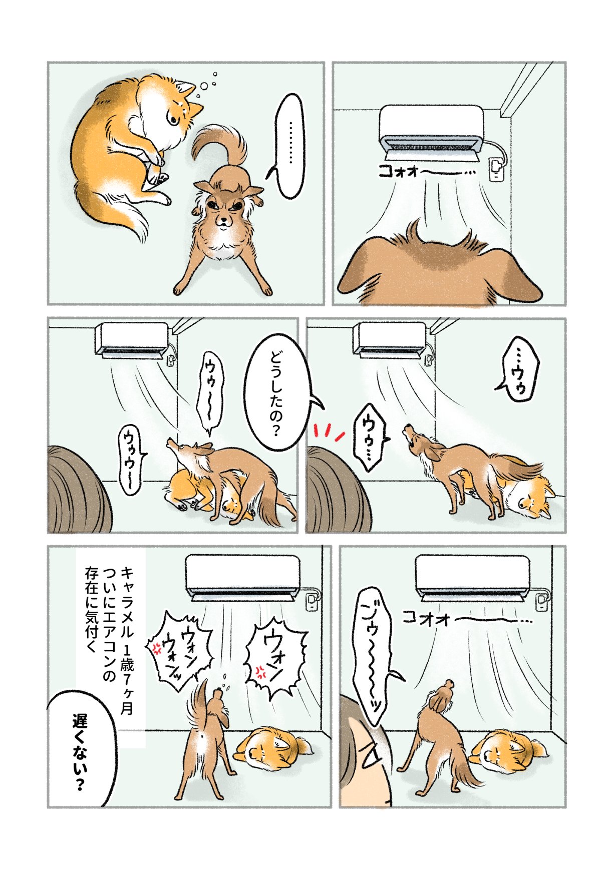 妖(よう) (@snow_white_999) / X