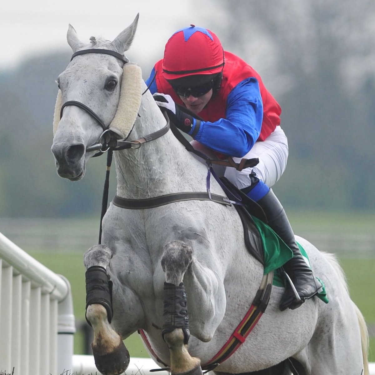 Cracking line up of racing this weekend guys - get your 30 days trial and get all the tips here allsportstips.com ❤️🐎