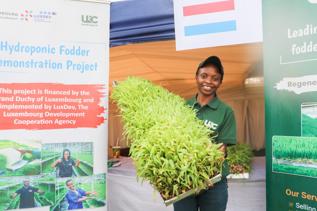 WFP_Rwanda_CD's tweet image. Young Agri-innovators supported by @WFP brought fresh energy to #RwandaAgriShow2025, showcasing homegrown farming and food innovations.

Their businesses are advancing sustainable #foodsystems, creating jobs, and improving food &amp;amp; nutrition security.