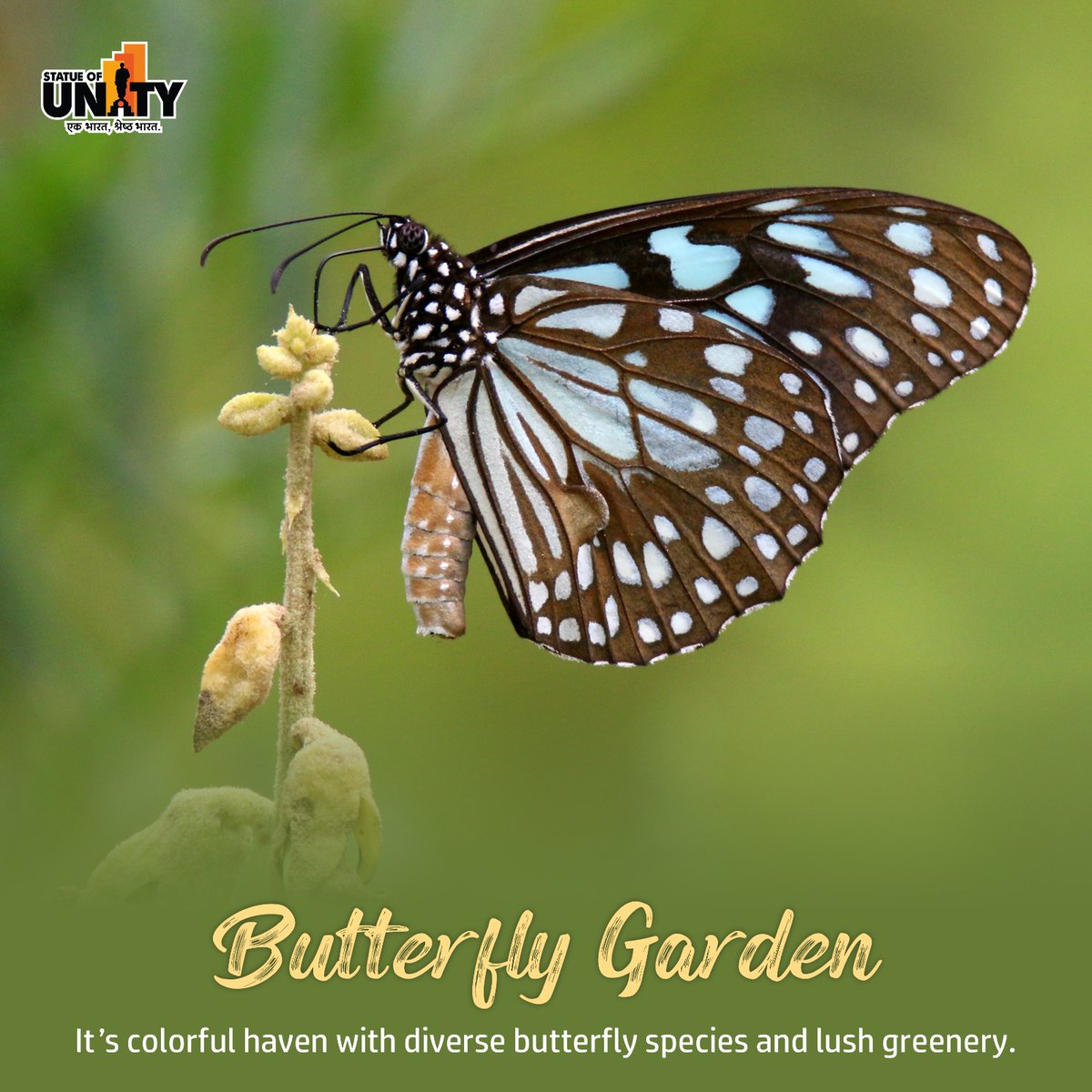 Statue Of Unity tweet media