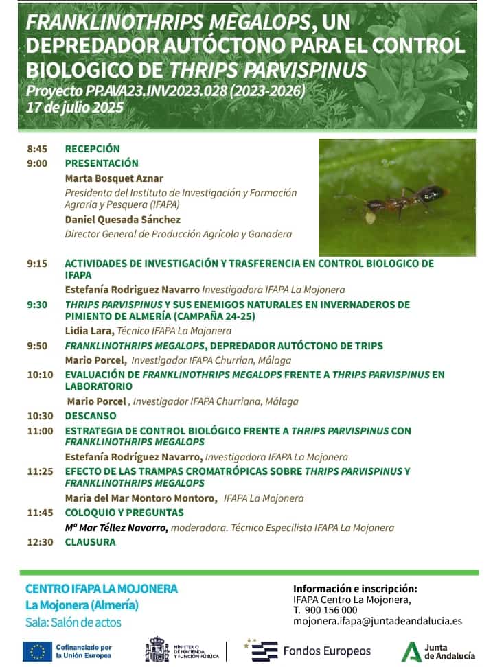El #IFAPA organiza una jornada sobre el Franklinothrips megalops, un #depredador autóctono para el control biológico del #Thrips parvispinus🦗

Podrás conocer los resultados de ensayos del IFAPA así como estrategias de control biológico🔬

📍La Mojonera
📝 lajunta.es/5qhww