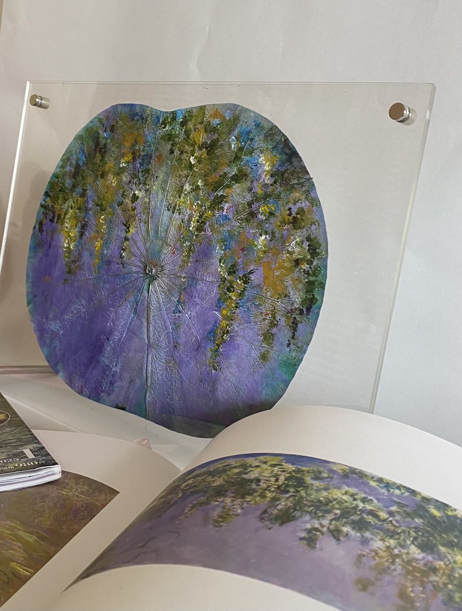 季節もすすみ、ハス・スイレンが見頃です🌈館の外・前池にて、一番美しく花開く早朝のハスの姿も自由にご覧いただけます。ハスやスイレンの花のご観覧は午前中がおすすめ！また、7/13（日）城山館長による咲くや塾「モネとスイレン」とハスの葉アートワークを開催★詳細はこちら