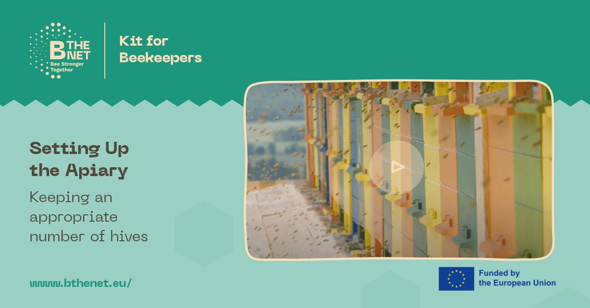 🐝 Choosing the right location for your beehive is key to successful beekeeping!
In our latest video, the Slovenian Beekeepers’ Association shares crucial tips for selecting the ideal site to help your bees thrive.
Watch now 👉 youtu.be/PeepBP1sYlE
<a href="/EUScienceInnov/">EU Science & Innovation 🇪🇺</a> <a href="/CzsNoc/">Boštjan Noč,</a>