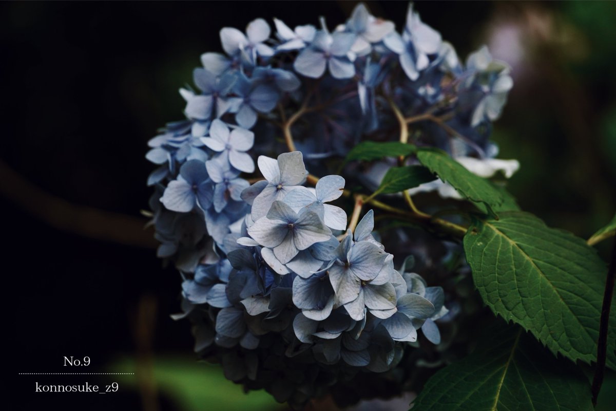 ▷ Rainy days aren't so bad after all.  …