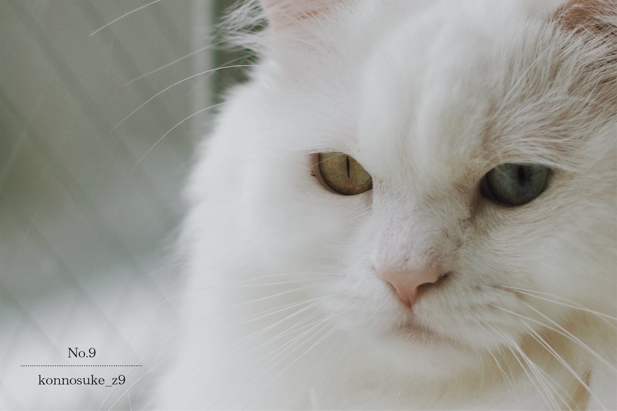 ▷ What kind of day was it today?  …