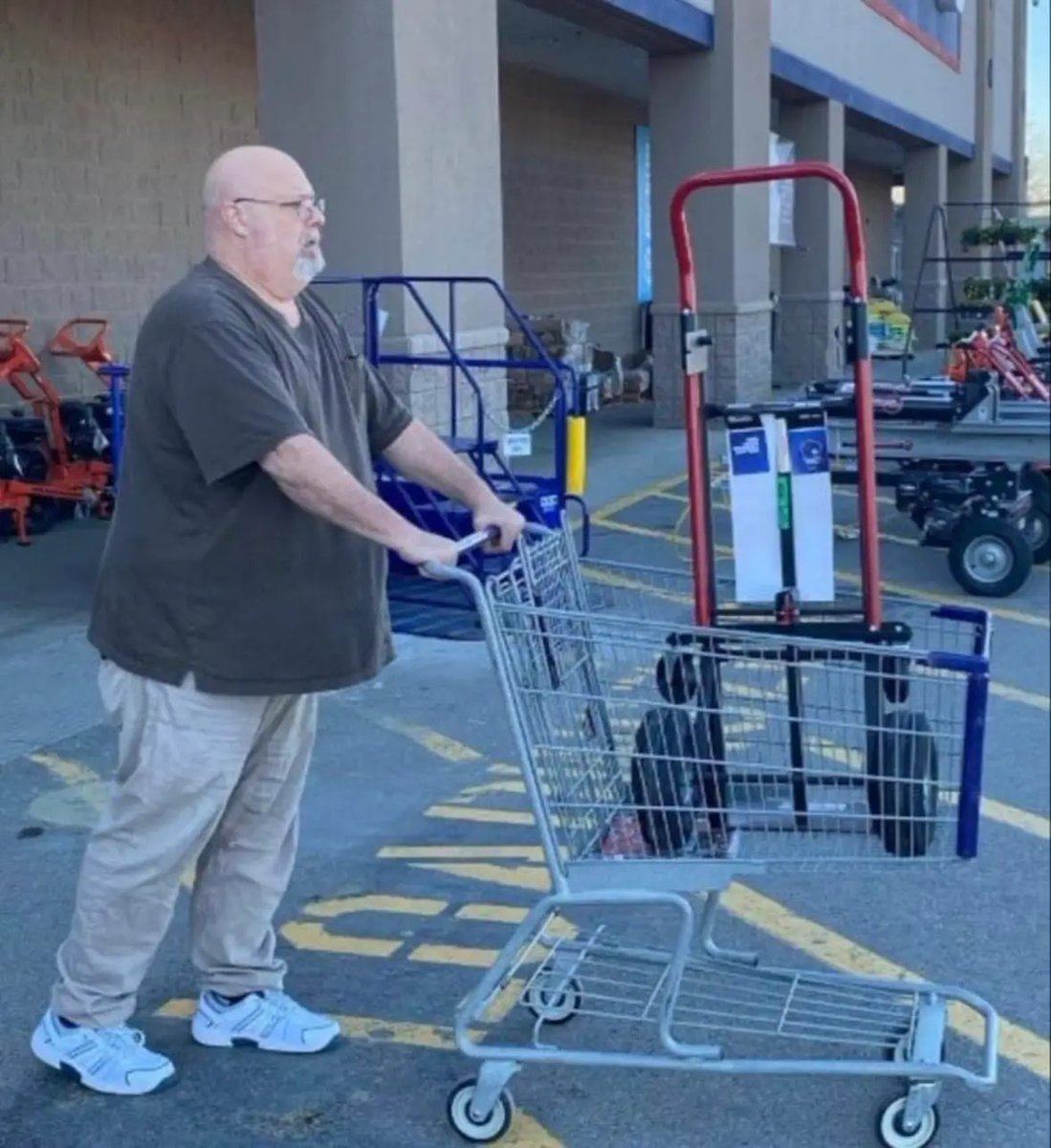 I am not an idiot because I voted for the orange turd,