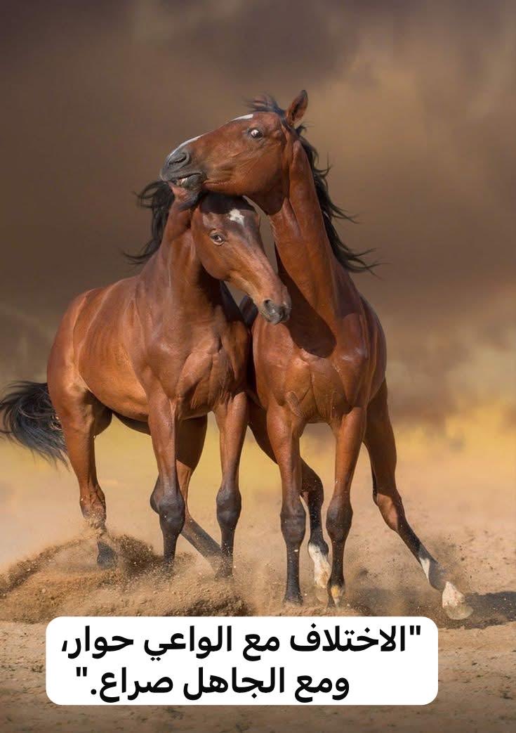 انتق من تحاوره🥱