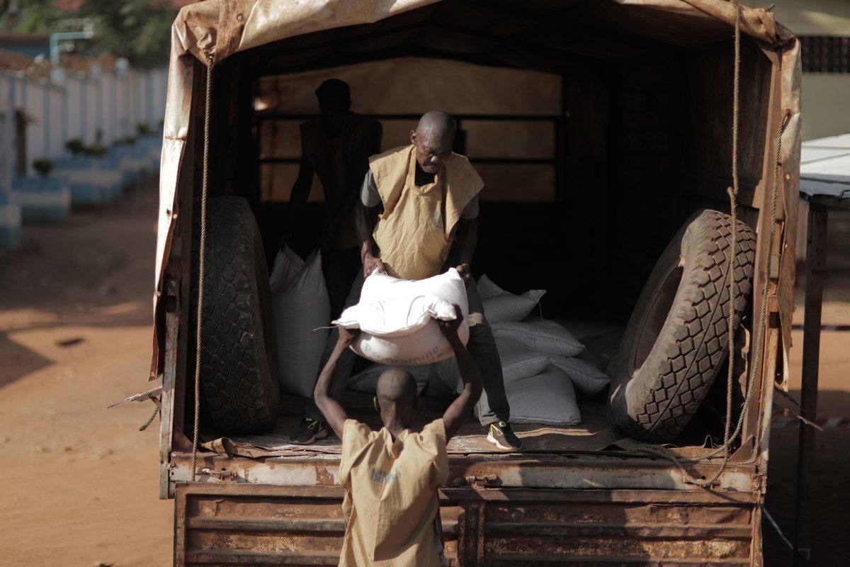 WFP_CAR_CD's tweet image. 🚛Photos de la semaine : en 2024, le PAM a livré plus de 13800 tonnes de nourriture et permis à 769141 personnes de recevoir une assistance ! Chaque jour en Centrafrique, nos équipes sont sur le terrain pour acheminer cette aide alimentaire 🇨🇫 #savinglives